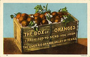 Box of oranges