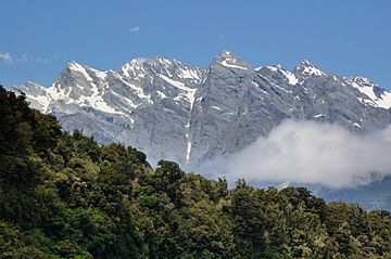 Butler Range from Whataroa River.jpg