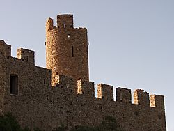 Castell de Requesens 2011 10