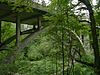 Cowen Park Bridge 05 - colormapped.jpg