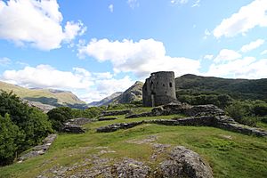 Dolbadarn Castle 3