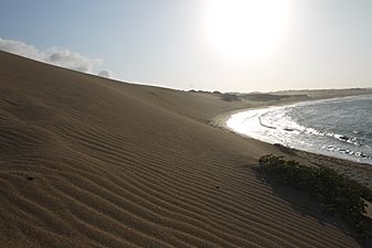 Dunas de Taroa