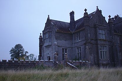 Durrow House Side