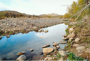 Gillett-Agua Fria River