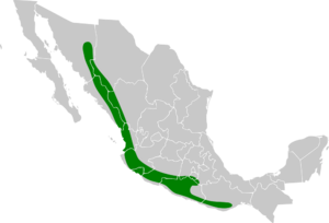 Glaucidium palmarum map.svg