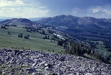 GrayPeakYNP1965.jpg