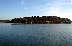 Green Island Poole Harbour