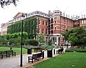 Guys campus kcl 2.jpg