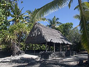 Hawaii Pu uhonua 8281