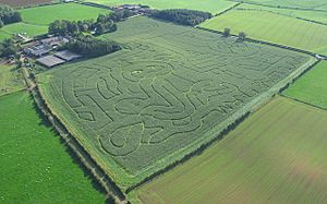 Hay Close Farm Maize Maze