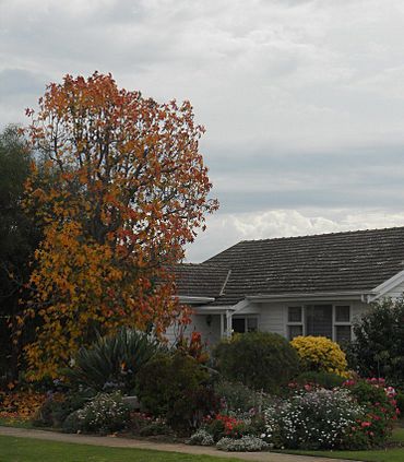 Home in Seaton, Adelaide, SA.jpg