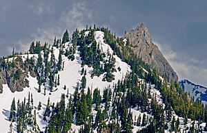 Hurricane Ridge snow