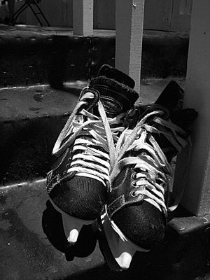 Ice Skates Pair BW 2112px