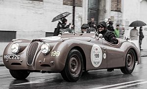 Jaguar Mille Miglia 2013-LeBon-Gandy-cropped