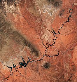 Lake Powell by Sentinel-2.jpg