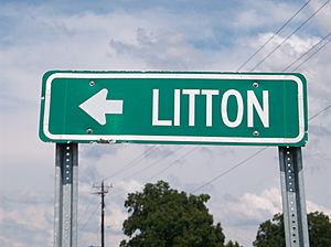 LittonMSHighwaySign.jpg