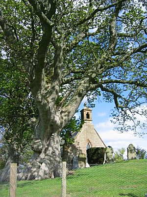 Lyne Kirk6