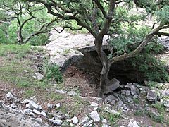 Natural Bridge Cavern Entrance