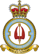 Squadron badge