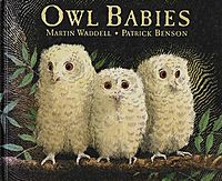 Owl Babies.jpg