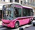 Palm Bus Cannes IMG 1287.jpg