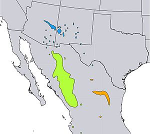 Pinus strobiformis range map.jpg