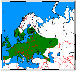 Plecotus auritus range map.png