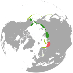 Polysticta stelleri range map.png