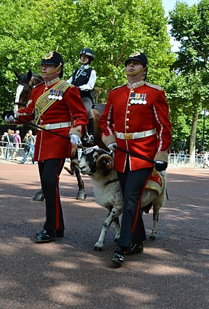 Private Derby takes a march down the mall. (36361519526)