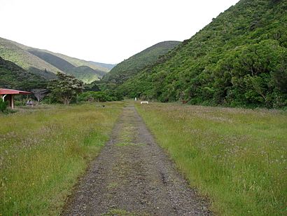 Rimutaka Incline 01.JPG