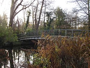 River Wensum Footbridge