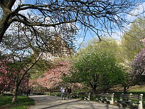 Riverside Park 01