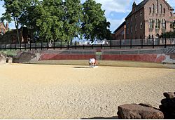 Roman amphitheatre mural chester 1