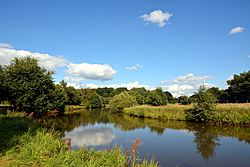 Schleswig-Holstein, Störkathen, Teich NIK 2861