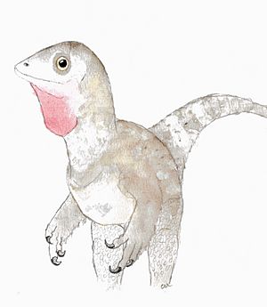 Scipionyx reconstruction