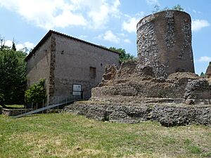 Sepolcro Priscilla Appia Antica