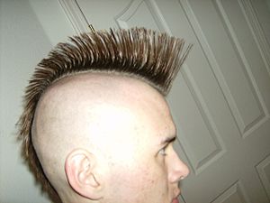 Short Mohawk