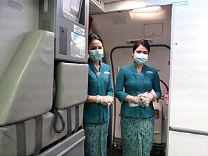 Stewardess airline