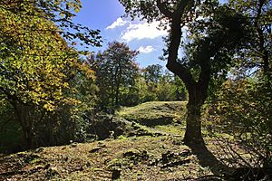 Stokeleigh Camp in Leigh Woods