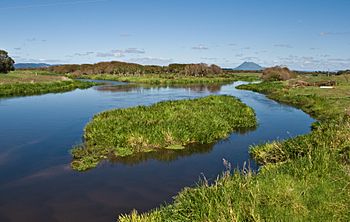 Tarawera River.jpg