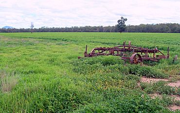 Terry Tie-Tie farmland.jpg