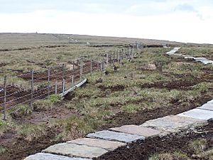 The Cheviot Summit