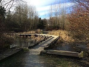 The Sanctuary at Hastings Park