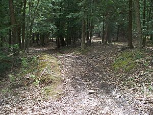 Ticklish Rock Trailhead