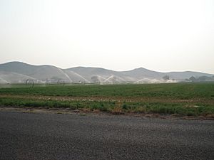 Watering alfalfa field