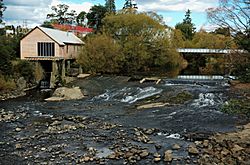 Weir-Deloraine-20070422-031.jpg