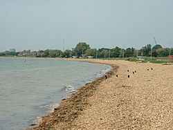 WestonShore1