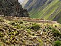 Willkaraqay ruins