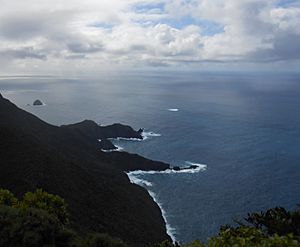 Wolf Rock Lord Howe Island