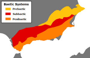 Baetic Systems